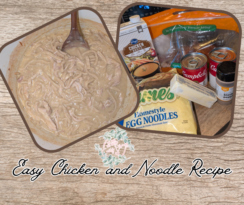 Easy One Pot Chicken and Noodles!