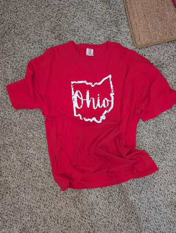 Size 4x, Unisex, State of Ohio Short Sleeve